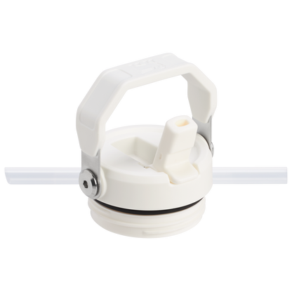 The IceFlow™ Bottle with Flip Straw Lid | 16 OZ